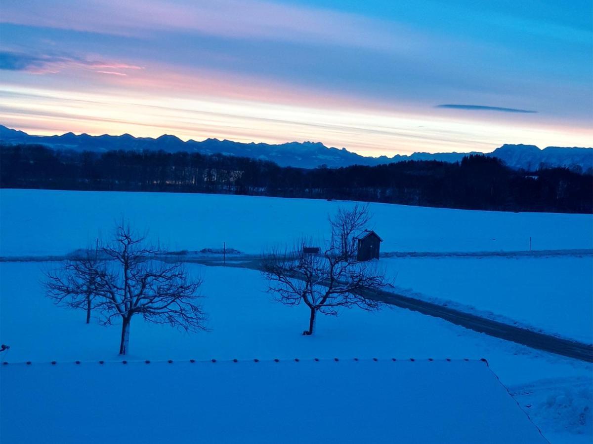 Appartement Feichtlhof à Taching am See Extérieur photo